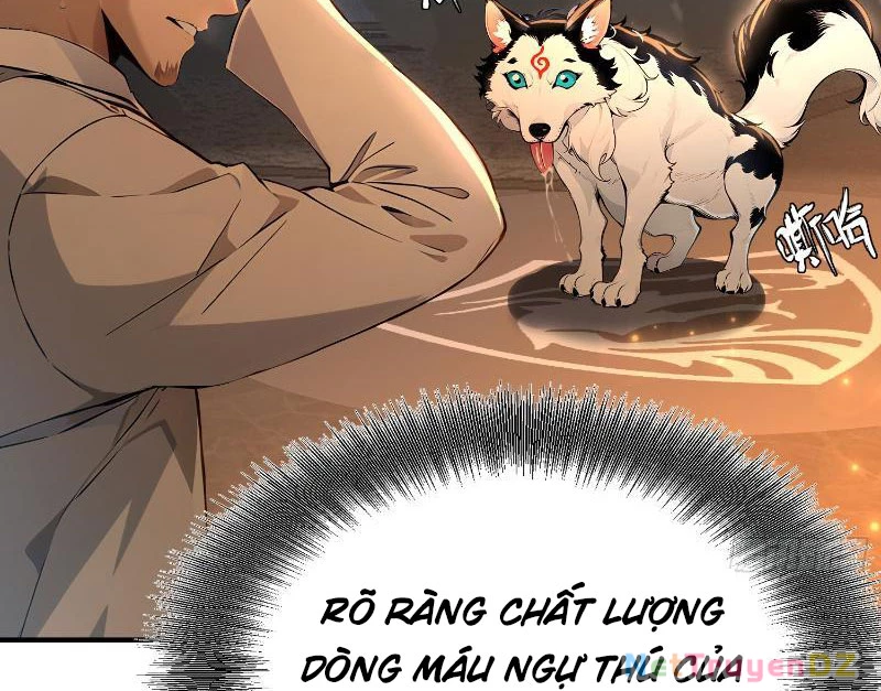 Đệ Nhất Ngự Thú Sư Chapter 3 - Trang 3