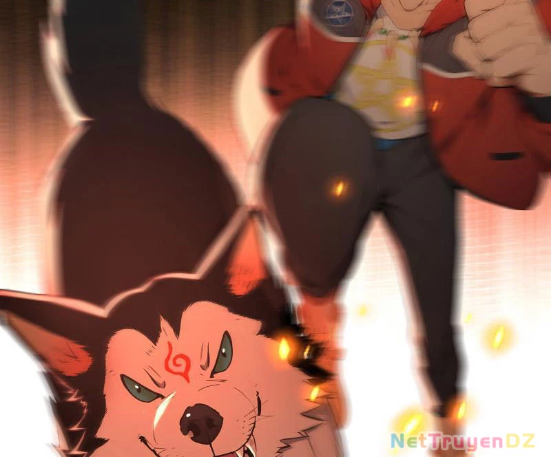 Đệ Nhất Ngự Thú Sư Chapter 4 - Trang 3