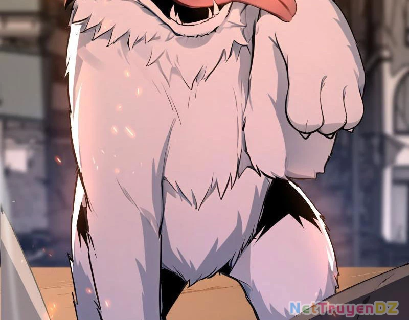 Đệ Nhất Ngự Thú Sư Chapter 4 - Trang 3