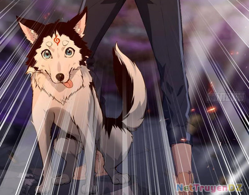 Đệ Nhất Ngự Thú Sư Chapter 4 - Trang 3