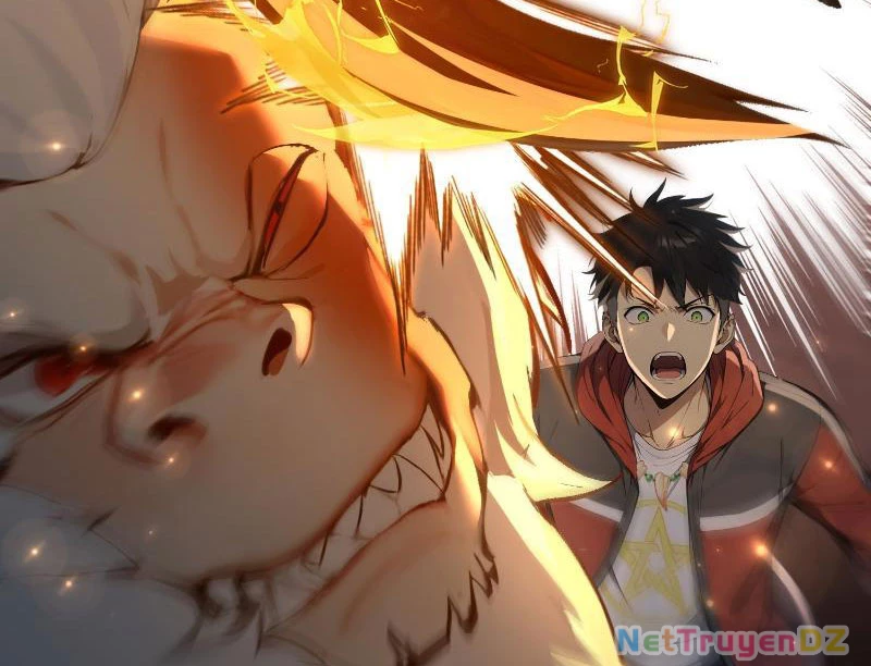 Đệ Nhất Ngự Thú Sư Chapter 5 - Trang 3