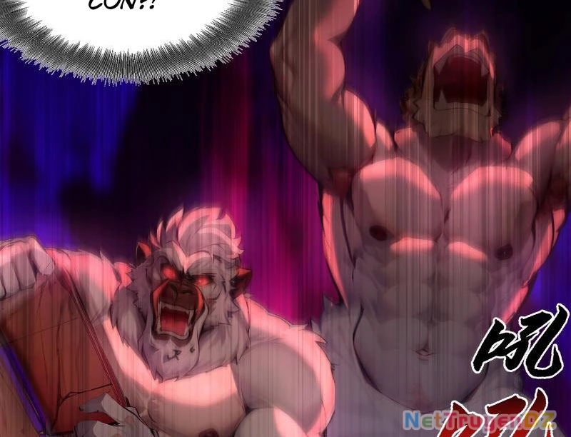 Đệ Nhất Ngự Thú Sư Chapter 5 - Trang 3