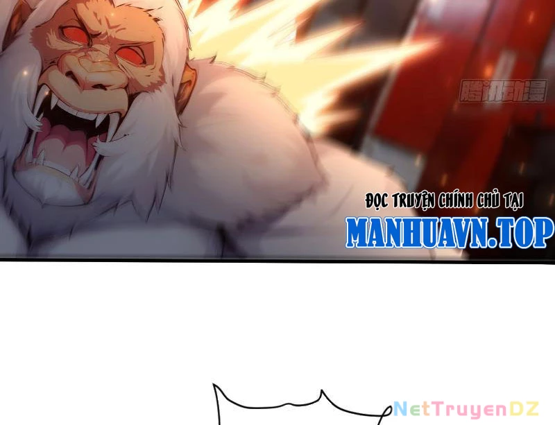 Đệ Nhất Ngự Thú Sư Chapter 5 - Trang 3