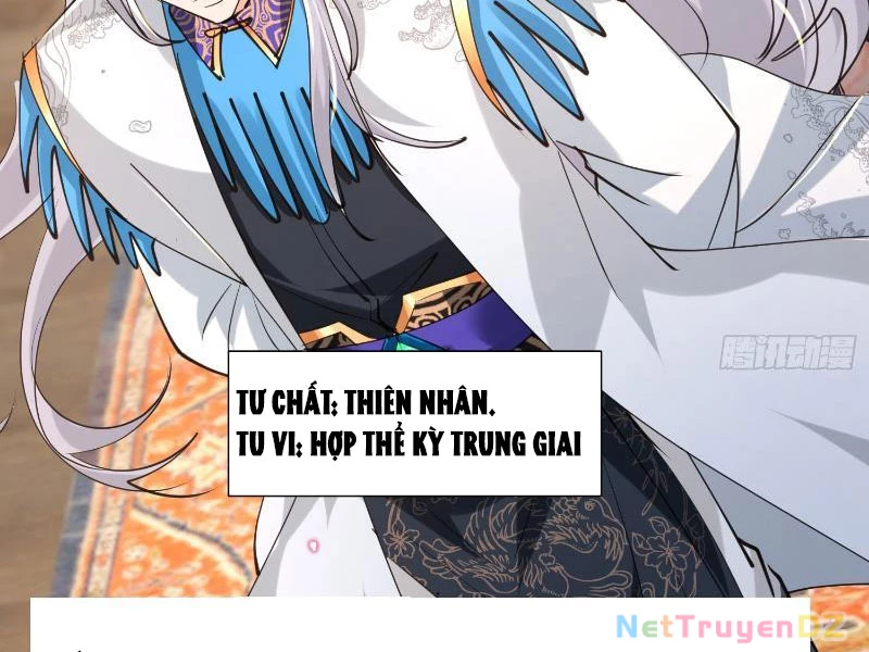 Hệ Thống Hèn Mọn Quỳ Xuống Cầu Xin Ta Vô Địch Chapter 21 - Trang 3