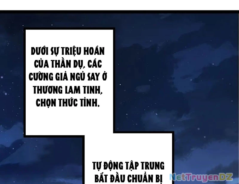 Chuyển Sinh Thành Liễu Đột Biến Chapter 310 - Trang 4