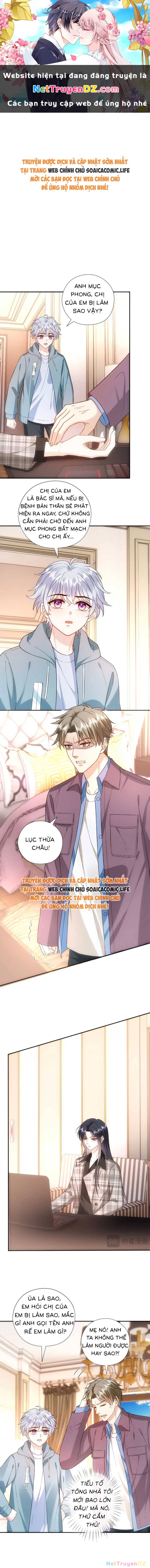 Vợ Của Lục Tổng Không Phải Dạng Vừa Chapter 176 - Trang 4