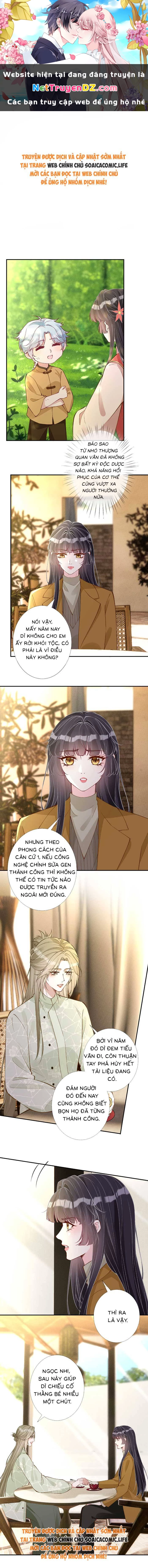 Ôm Khẩn Tiểu Mã Giáp Của Tôi Chapter 344 - Trang 4