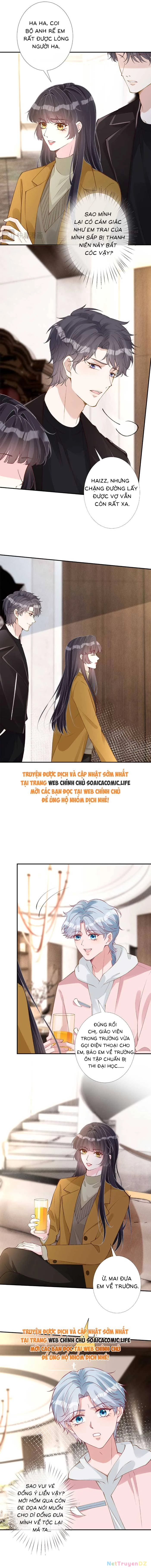 Ôm Khẩn Tiểu Mã Giáp Của Tôi Chapter 344 - Trang 4