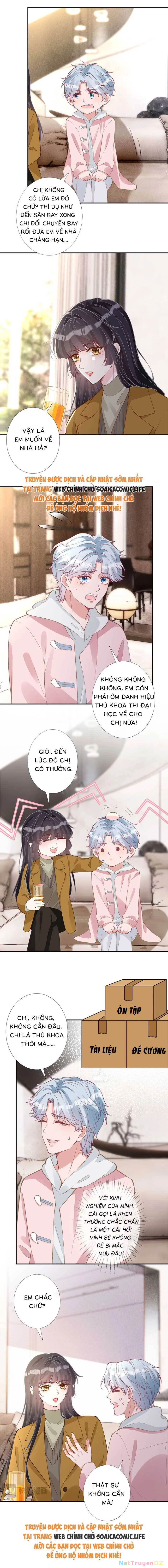 Ôm Khẩn Tiểu Mã Giáp Của Tôi Chapter 344 - Trang 4