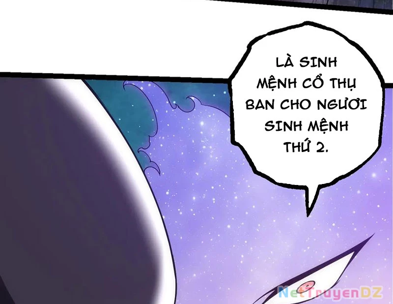 Chuyển Sinh Thành Liễu Đột Biến Chapter 311 - Trang 4