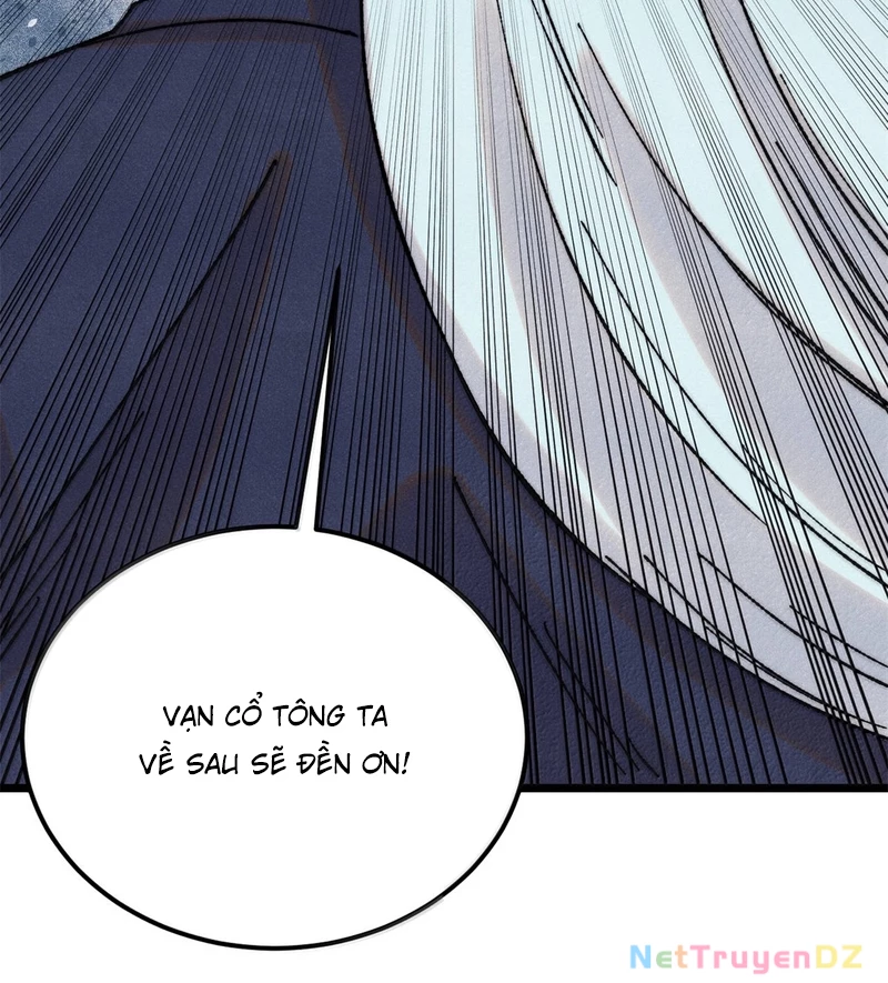 Vạn Cổ Tối Cường Tông Chapter 383 - Trang 4