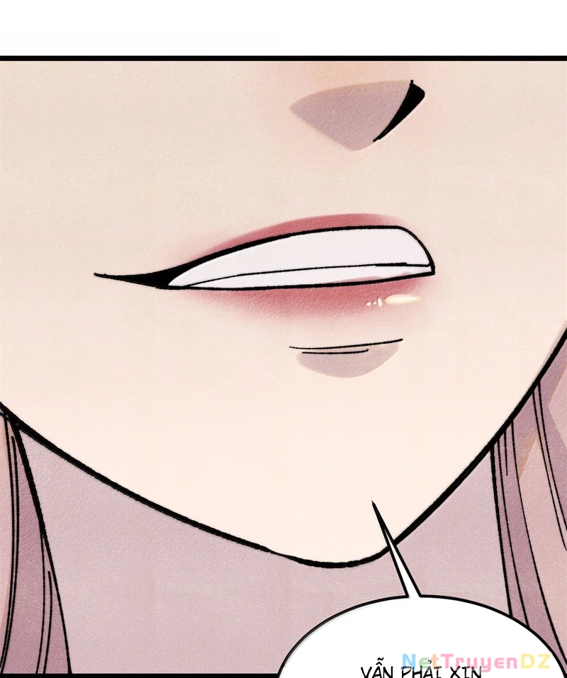 Vạn Cổ Tối Cường Tông Chapter 383 - Trang 4