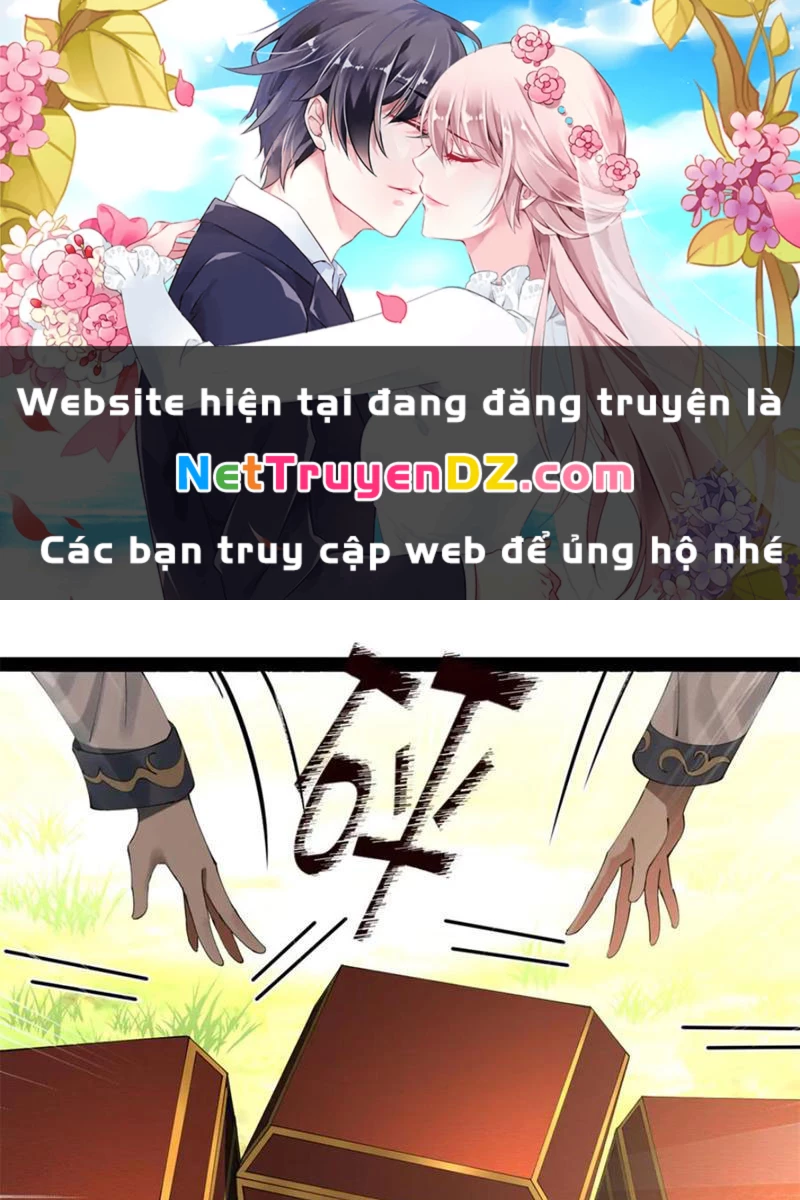 Chàng Rể Mạnh Nhất Lịch Sử Chapter 255 - Trang 4