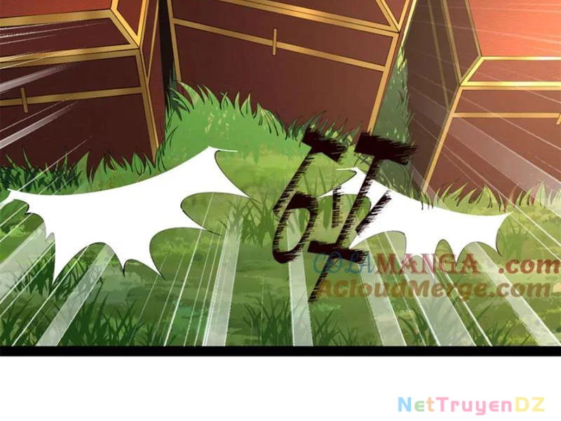 Chàng Rể Mạnh Nhất Lịch Sử Chapter 255 - Trang 4