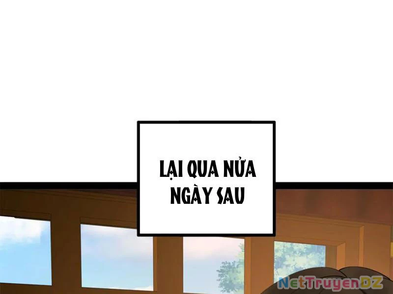 Chàng Rể Mạnh Nhất Lịch Sử Chapter 255 - Trang 4