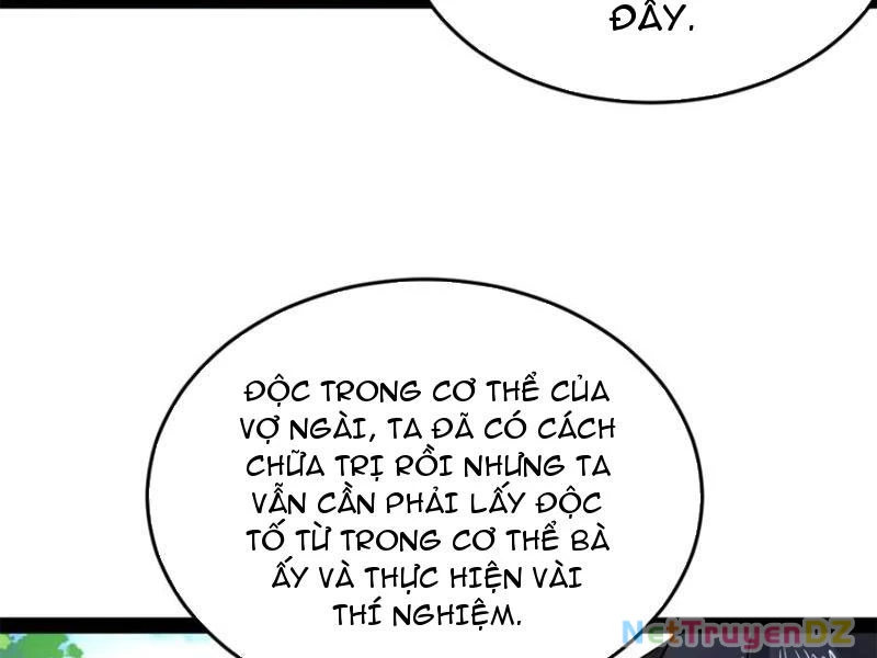 Chàng Rể Mạnh Nhất Lịch Sử Chapter 255 - Trang 4
