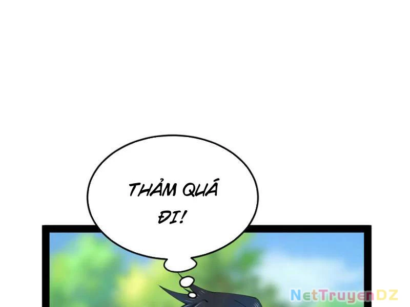 Chàng Rể Mạnh Nhất Lịch Sử Chapter 255 - Trang 4
