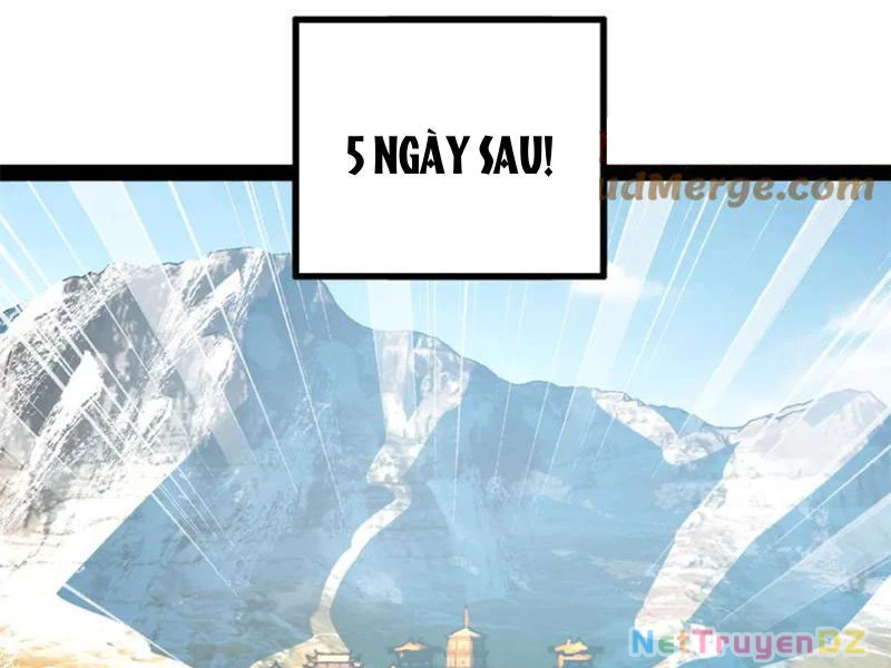 Chàng Rể Mạnh Nhất Lịch Sử Chapter 255 - Trang 4