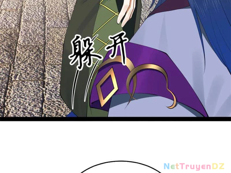 Chàng Rể Mạnh Nhất Lịch Sử Chapter 255 - Trang 4