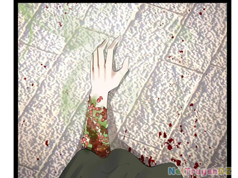Chàng Rể Mạnh Nhất Lịch Sử Chapter 255 - Trang 4