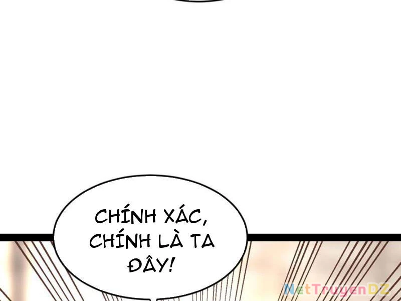Chàng Rể Mạnh Nhất Lịch Sử Chapter 255 - Trang 4
