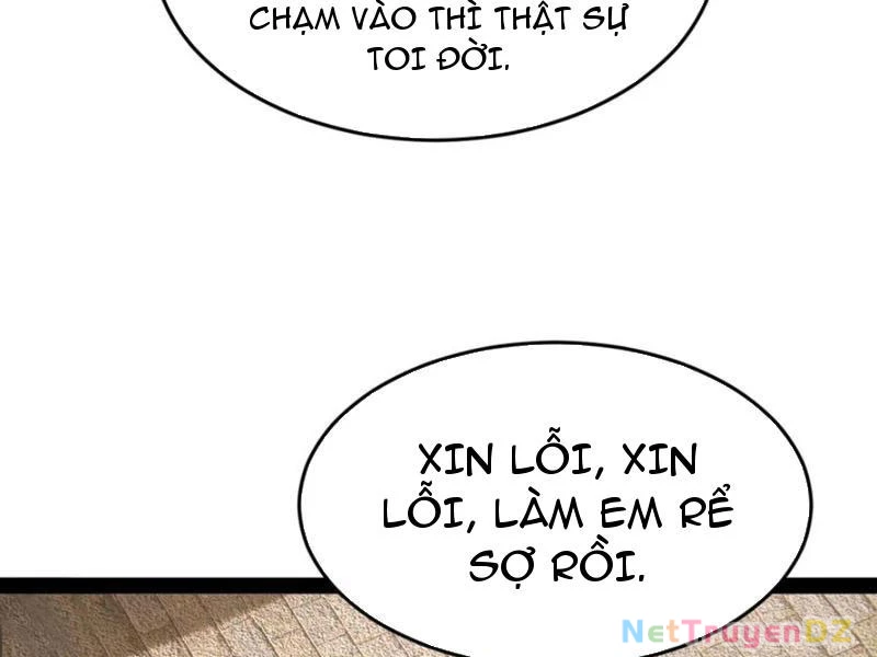 Chàng Rể Mạnh Nhất Lịch Sử Chapter 255 - Trang 4