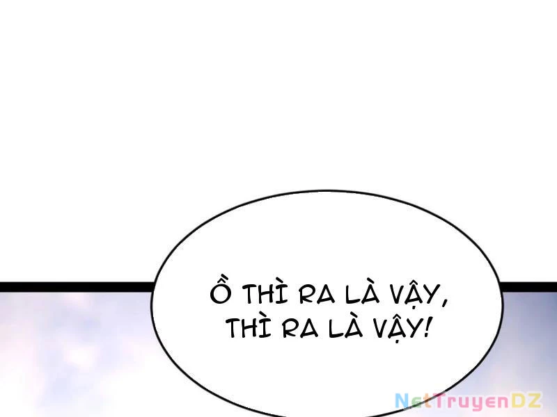 Chàng Rể Mạnh Nhất Lịch Sử Chapter 255 - Trang 4