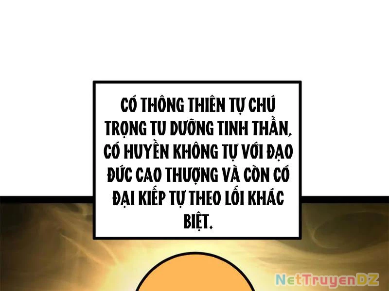 Chàng Rể Mạnh Nhất Lịch Sử Chapter 255 - Trang 4
