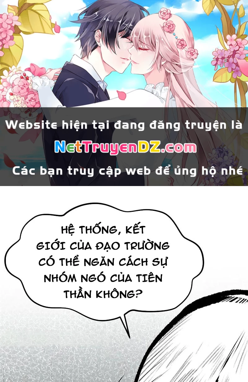 Đỉnh Cấp Khí Vận, Lặng Lẽ Tu Luyện Ngàn Năm Chapter 196 - Trang 2