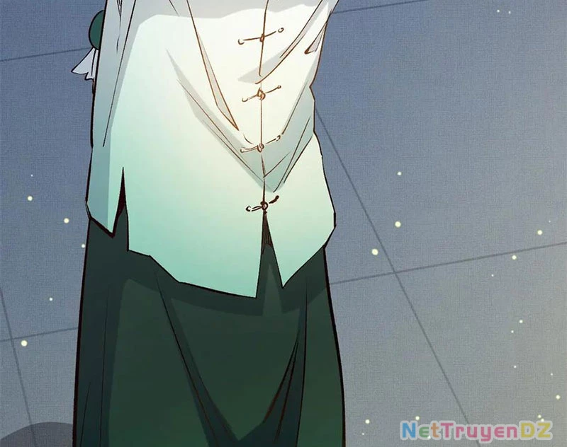 Đỉnh Cấp Khí Vận, Lặng Lẽ Tu Luyện Ngàn Năm Chapter 196 - Trang 2