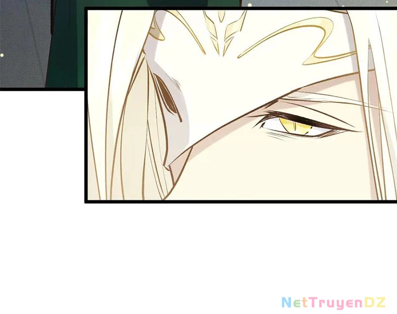 Đỉnh Cấp Khí Vận, Lặng Lẽ Tu Luyện Ngàn Năm Chapter 196 - Trang 2