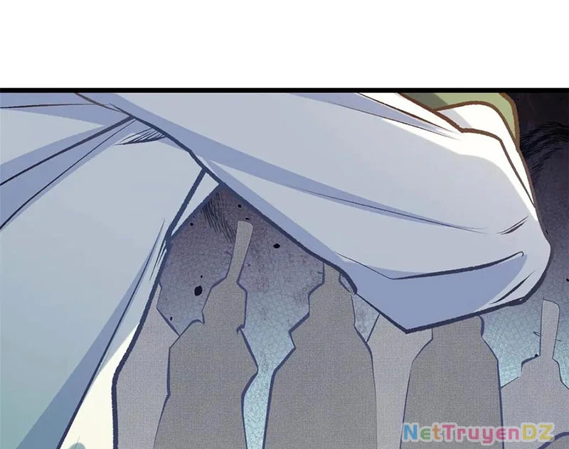 Đỉnh Cấp Khí Vận, Lặng Lẽ Tu Luyện Ngàn Năm Chapter 196 - Trang 2