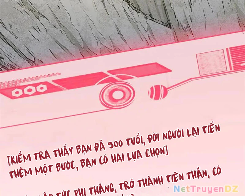 Đỉnh Cấp Khí Vận, Lặng Lẽ Tu Luyện Ngàn Năm Chapter 196 - Trang 2