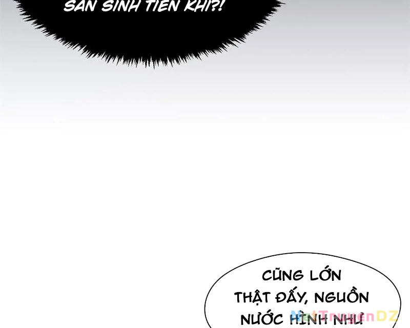 Đỉnh Cấp Khí Vận, Lặng Lẽ Tu Luyện Ngàn Năm Chapter 196 - Trang 2