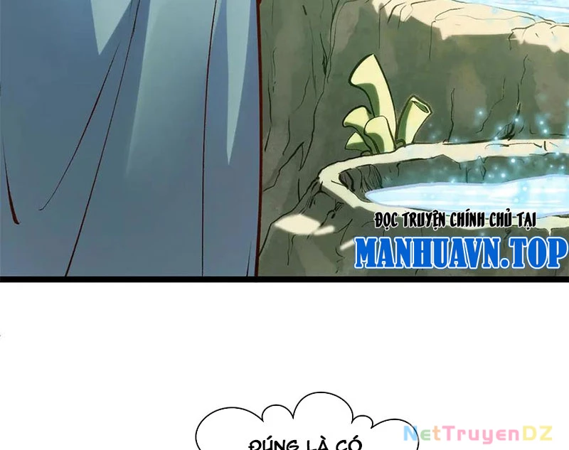 Đỉnh Cấp Khí Vận, Lặng Lẽ Tu Luyện Ngàn Năm Chapter 196 - Trang 2