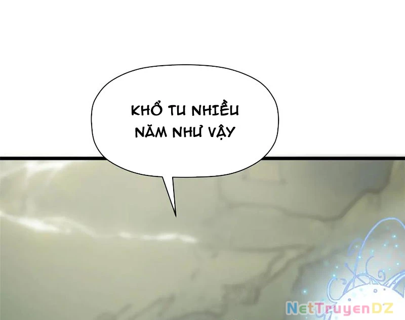 Đỉnh Cấp Khí Vận, Lặng Lẽ Tu Luyện Ngàn Năm Chapter 196 - Trang 2