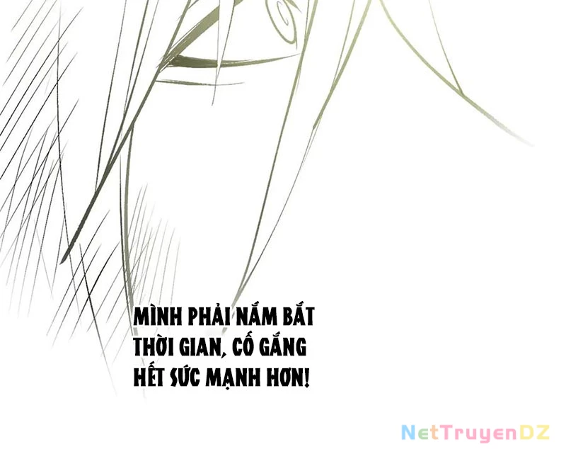 Đỉnh Cấp Khí Vận, Lặng Lẽ Tu Luyện Ngàn Năm Chapter 196 - Trang 2