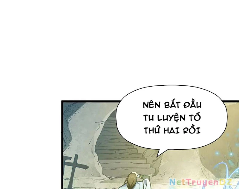 Đỉnh Cấp Khí Vận, Lặng Lẽ Tu Luyện Ngàn Năm Chapter 196 - Trang 2