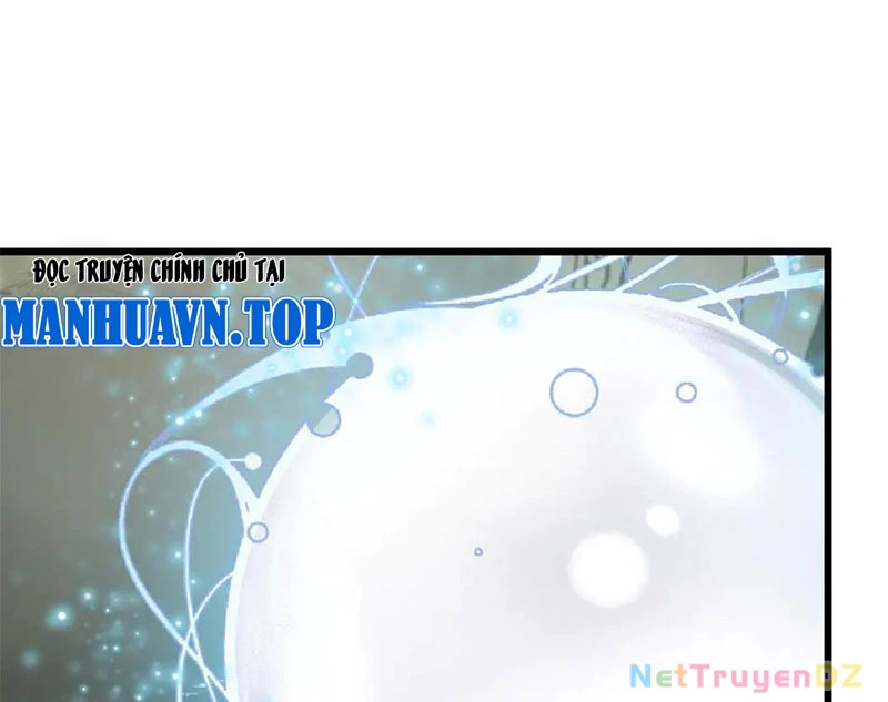 Đỉnh Cấp Khí Vận, Lặng Lẽ Tu Luyện Ngàn Năm Chapter 196 - Trang 2