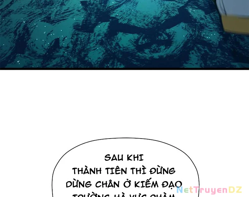 Đỉnh Cấp Khí Vận, Lặng Lẽ Tu Luyện Ngàn Năm Chapter 196 - Trang 2