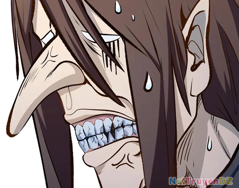 Đỉnh Cấp Khí Vận, Lặng Lẽ Tu Luyện Ngàn Năm Chapter 196 - Trang 2