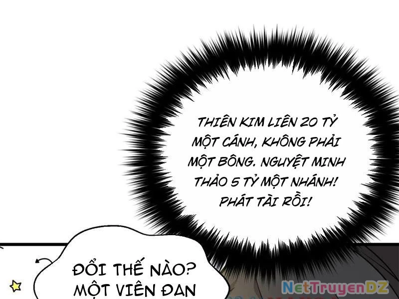 Toàn Cầu Cao Võ Chapter 290 - Trang 4