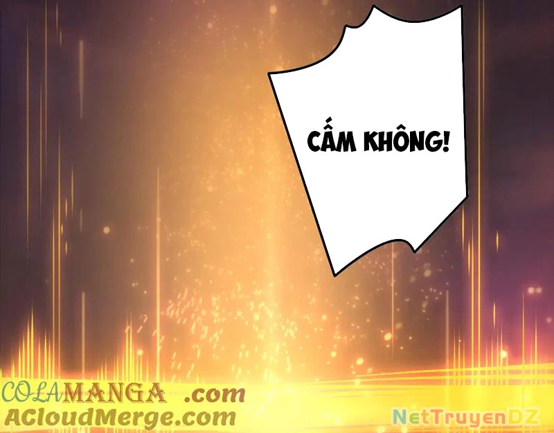 Thảm Họa Tử Linh Sư Chapter 143 - Trang 4