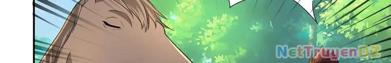 Ta Có Thể Đốn Ngộ Vô Hạn Chapter 220 - Trang 4