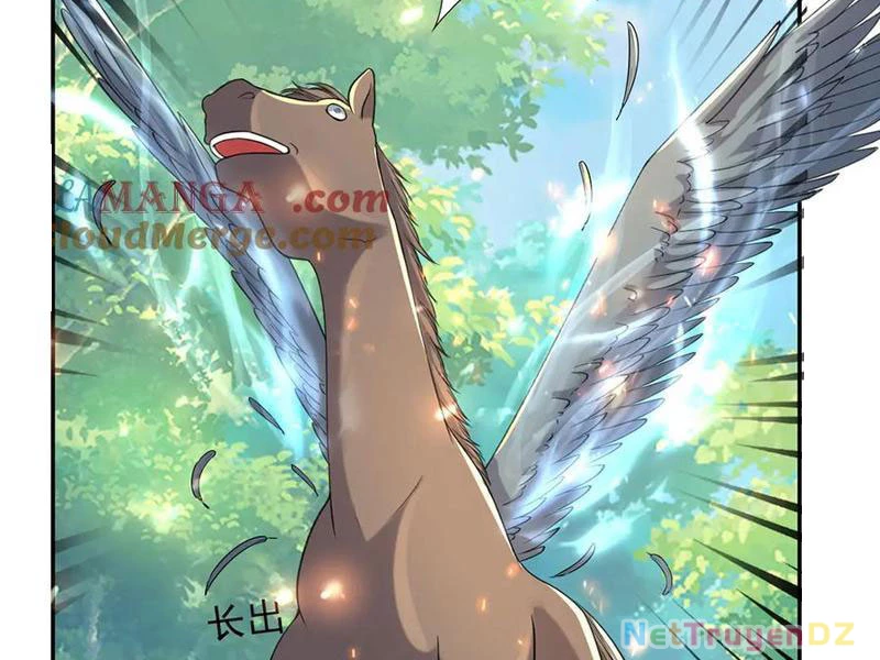 Ta Có Thể Đốn Ngộ Vô Hạn Chapter 220 - Trang 4