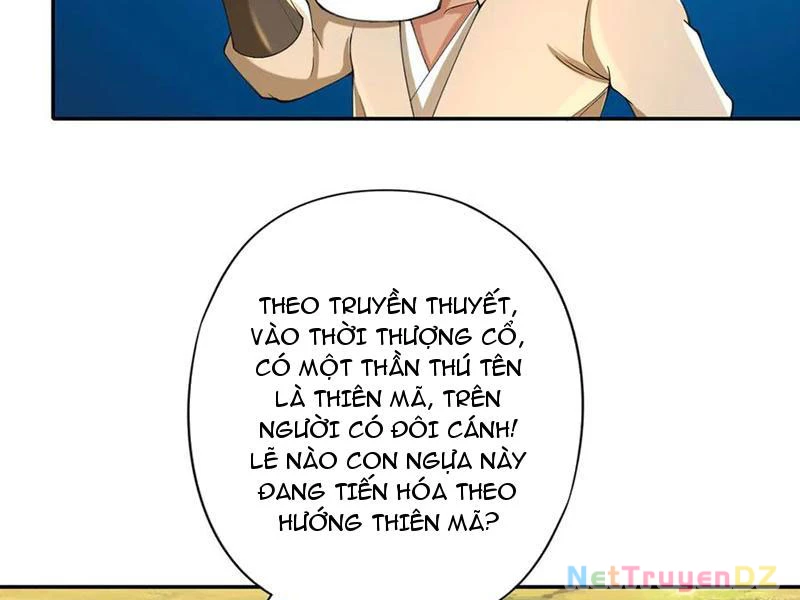 Ta Có Thể Đốn Ngộ Vô Hạn Chapter 220 - Trang 4