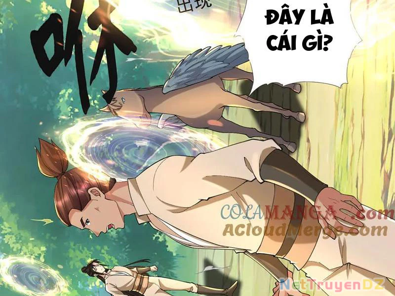 Ta Có Thể Đốn Ngộ Vô Hạn Chapter 220 - Trang 4