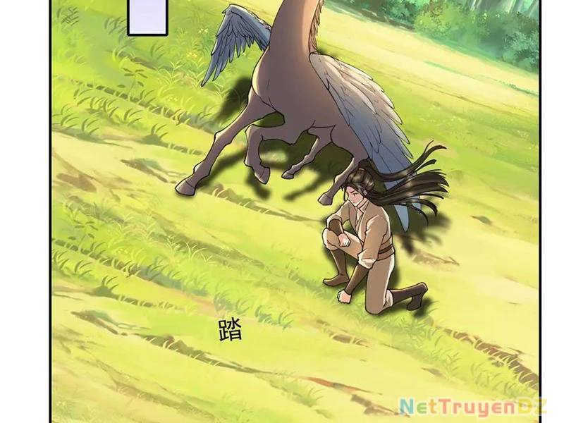 Ta Có Thể Đốn Ngộ Vô Hạn Chapter 220 - Trang 4