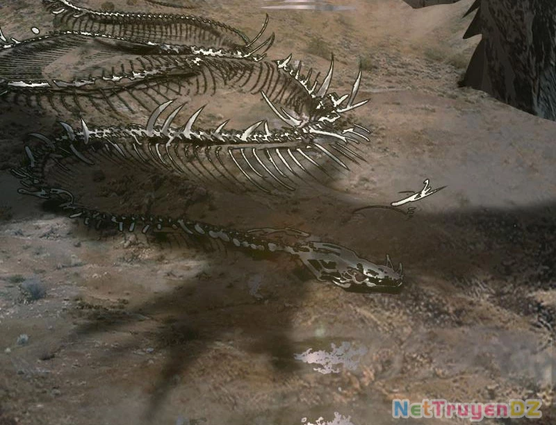 Hồng Hoang: Bắt Đầu Từ Việc Nhận Minh Hà Làm Con Gái Nuôi Chapter 1 - Trang 3