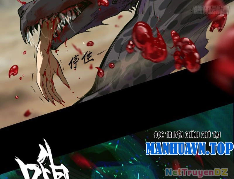 Hồng Hoang: Bắt Đầu Từ Việc Nhận Minh Hà Làm Con Gái Nuôi Chapter 1 - Trang 3